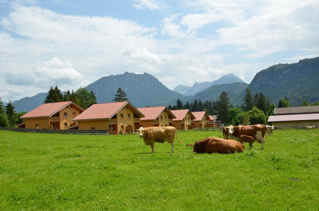 Feriendorf Am Hahnenkamm Ройтте Екстер'єр фото